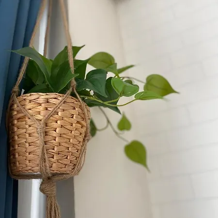 Apartmán Mestre Centro *