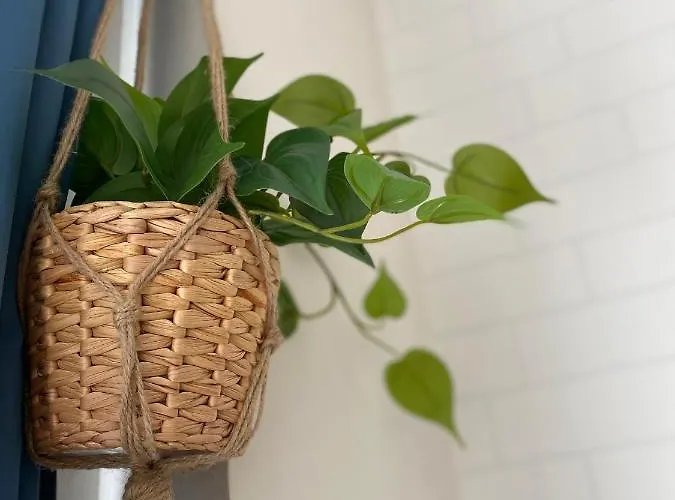 Apartment Mestre Centro *